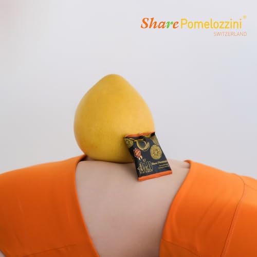Share Pomelozzini caja de inicio 32g, 4 piezas miniatura 4
