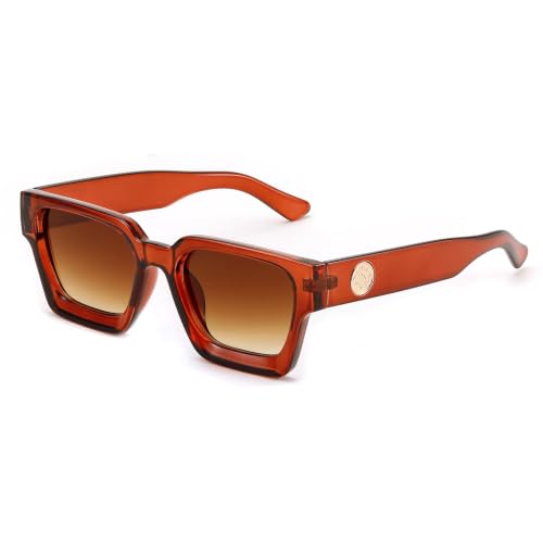 Image of FEISEDY Retro 90s Chunky Square Sunglasses for Women Men B2385