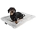 MyBestBuddy Hundekissen Komfort grau 60x40 cm S, allergikerfreundlich (100% Polyester), rutschfest - 40°C waschbar mit flauschigem Stoffbezug - Hundematte BZW. Hundebett für kleine Hunde