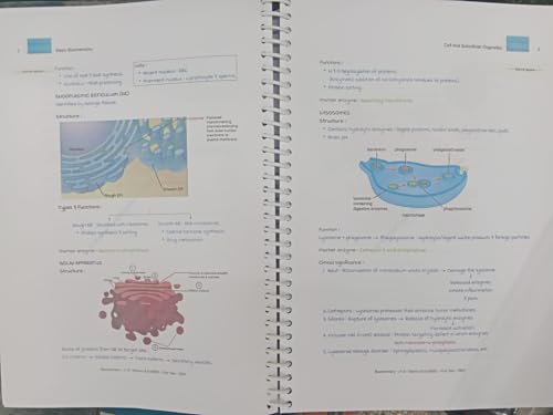 Image of Marrow Edition 8, MBBS 1st Year Notes {ANATOMY ,BIOCHEMISTRY,PHYSIOLOGY) fully color