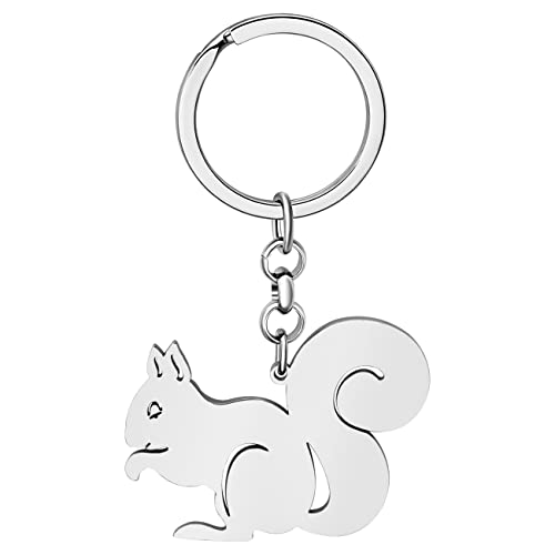 LONYOO Lindo Llavero Ardilla Acero Inoxidable Llavero Ardilla Regalos Mujer Niñas Llavero Coche Bolso Charms (Plateado)