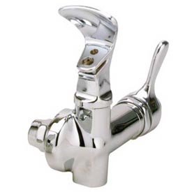 Fountain Head, 2509 Ftn