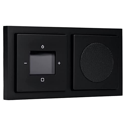 Busch Jäger Bluetooth Radio 8217 U Set