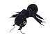 GIANT MICROBES Black Ant (Lasius niger) Plush Toy