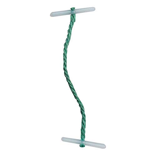 5 Star Treasury Tags Plastic-Ended 76mm Green [Pack of 100]