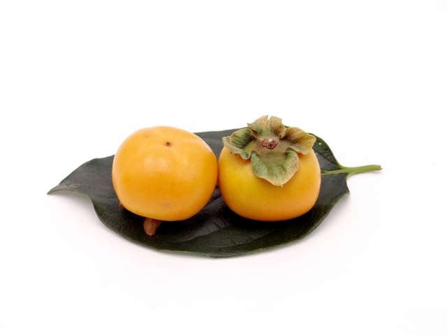 Amazon.co.jp: 岐阜県産 ミニ 柿 ベビーパーシモン 1パック当たり 8