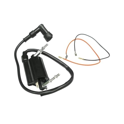 Bobine d'allumage moto KLF300 Bayou300 pièces 21121-1264 21160-1089
