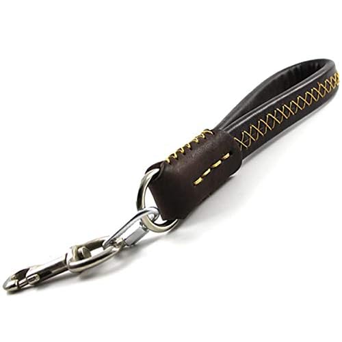 Wandlee kurze Hundeleine Leine Leder Handgefertigt Stabiles Haustier Seil Heavy Duty für Große/Medium Hunde Walken und Training