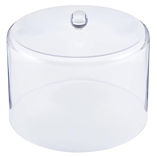 Santa Barbara Design Studio Food Cover Dome Lid Acrylic Food Screen Protector, Large, Clear