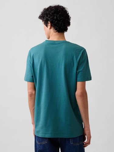 Image of Gap Mens Everyday Soft Crewneck T-Shirt Tee