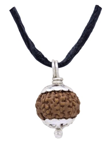 9 Mukhi Rudraksha argenté pour une clarté d'esprit absolue