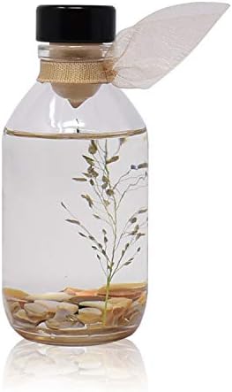 Signature Apothecary Diffuser Collection