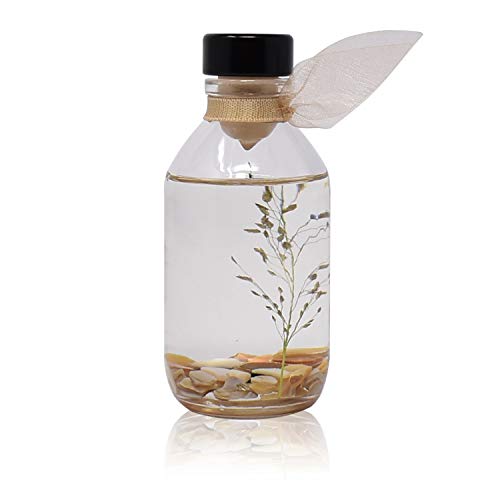 Signature Apothecary Diffuser Collection