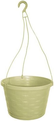 ATT Southern hw1224og 12-Inch Sage cesta colgante Planter, 1