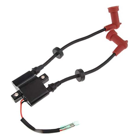 fayle 6F5-85570-00 Ignition Coil for Yamaha Outboard Ignition Coil, Outboard Replacement Ignition Coil for Yamaha F9.9, 13.5, 15, 20, 25HP 40HP (2 or 4 Stroke) Engines Cover
