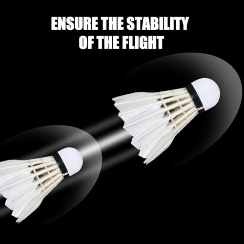 image for EAGLES Badminton Birdies Feather Bedminton Shuttlecocks- Birdie Ball f