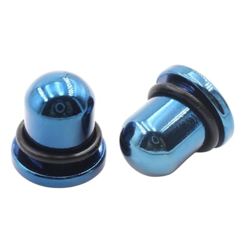 DIEORENTINT New 2026 Unisex 2Pc Stainless Steel Solid Smooth Cylinder Ear Gauges Taper Plugs Tunnel Expander Stretcher Earring Piercing Body Jewelry Fashion Accessories Creative For Women And Men