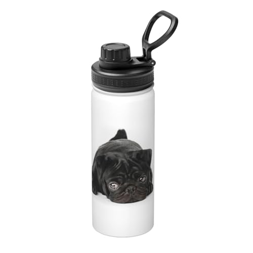 ���� �p�O ���� ���F �}�O�{�g�� 530ml �ۗ� �ۉ� �X�|�[�c�{�g�� �X�e�����X�{�g�� ������� ���킢�� �L�� ������ �R��h�~ �n���h���t�� �􂢂₷�� �������ȒP �g�ѕ֗� �o�R�p �I�t�B�X �X�|�[�c �j�����p