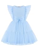 Arshiner Toddler Tutu Dress Girls Tulle Dresses Baby Blue Dress for Girls 4T