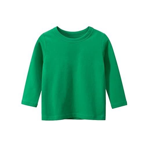 Kids Girls Boys Crew Neck Pullover Shirts Toddler Unisex Solid Long Sleeve Casual Tees Fall Comfy Trendy Tops Clothes