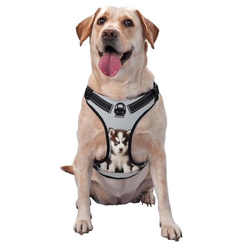 No Pull Dog Harness Siberian Husky Puppies Dogs Husky Walking Pet Harness with Leash, Adjustable Reflective Breathable Oxford Puppy Pet Harness Outdoor