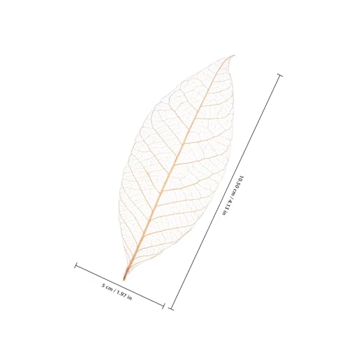 50 hojas esqueleto de caucho natural marrón para manualidades miniatura 2