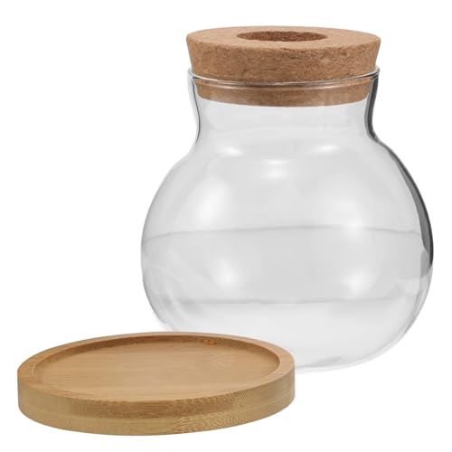 FUOYLOO 2ensembles Lot de Vases Hydroponiques Verre avec Plateau Bambou Récipients Terrarium Élégants pour Propagation de Plantes Décoration Moderne pour...