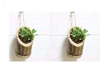 COIR GARDEN Bamboo Vertical Hanging Planters with Rope, Length 17 cm to 20 cm. Diameter is 8 cm to 10 cm, 2 Pieces, Red (B07V9N1K4R) Amazon Price History, Amazon Price Tracker