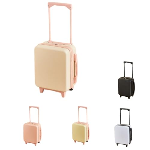 [Pazeku] jo[TzC[~j`A ql܂ŎgA@ݗpAgfBȗsp (x[W)