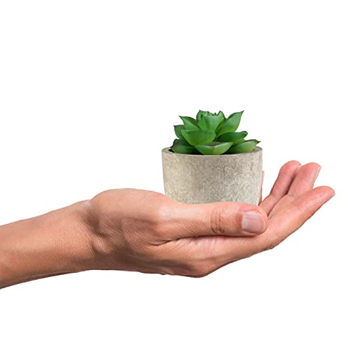 Ehwine Succulents Plants Artificial, Mini Fake Plants In Imitation Cement Look Pots Small Realistic Fake Succulents Indoor For Desk Bedroom Office Decor, Pack Of 6 #TOP5