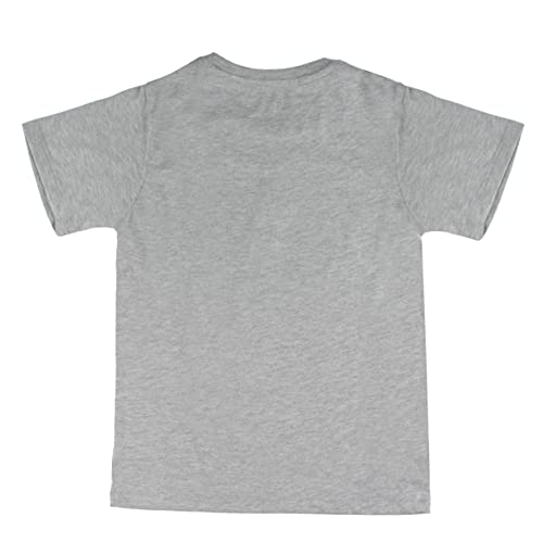 Image of Brand - Jam & Honey Boy's Batman Regular Fit T-Shirt (JHWBBMBCT024 Grey 2-3Y)