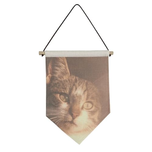 Drapeau en toile de chat pour créer un coin lecture cosy salon