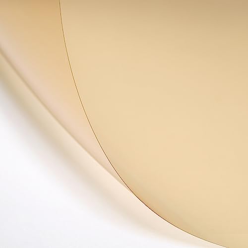 LEE Filters CT Orange Compact Roll, 2ft Wide Polyester Lighting Gel for Converting Daylight to Tungsten Light