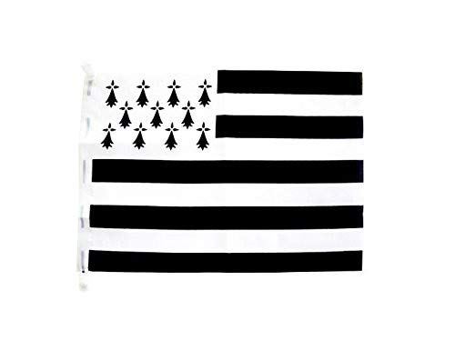 Drapeau anneaux 145x225 cm en polyester pour mât et décoration murale