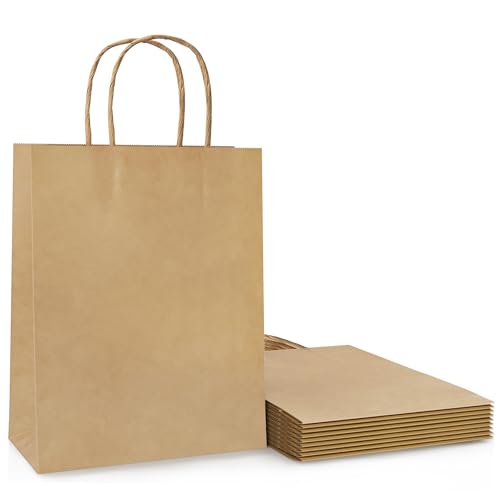 10 Pcs Brown Paper Party Bags with Twist Handles