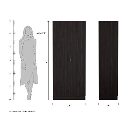 Image of Amazon Brand - Solimo Pyxis Engineered Wood 2-Door Wardrobe (Wenge Finish)