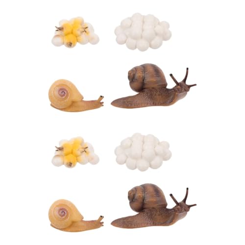 Ciclo de vida de caracol SUPVOX figura juguete educativo simulación decoración