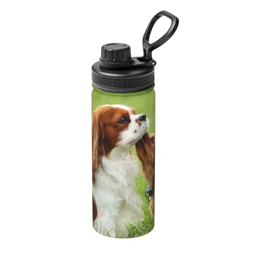  킢 LoA XpjG XeX{g @r 500ml  ۗۉ ^fM X|[c{g e nht ^ Rh~  oR AEghA ʋ ʊw