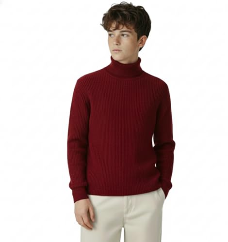 Image of high Neck Sweater for Boys