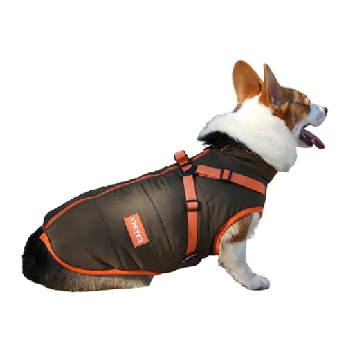 Ropa Perros Medianos Marca Avejjbaey