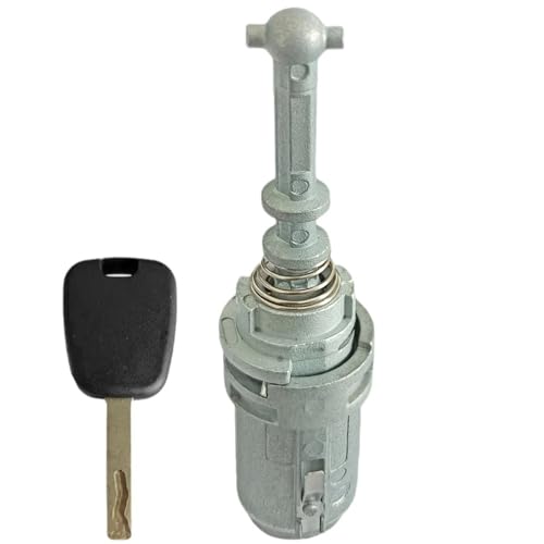 Serrure coffre Citroen C2 C3 barillet de hayon avec 2 clés 2002-2010