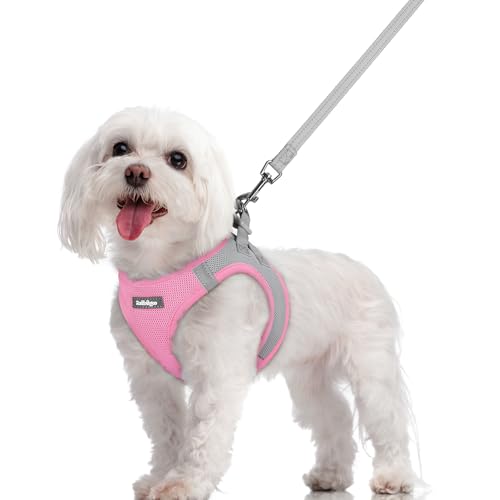 Image of rabbitgoo Dog Harness Medium Sized and Leash Set, Step-in Puppy Pet Vest