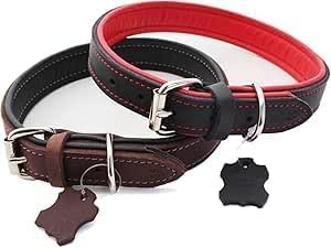 Activity4Dogs Luxus Hundehalsband aus Leder | für (mittel) große Hunde | 2,5 cm breit | gepolstert | 5-Fach verstellbar | Made in Germany | Echt-Leder Größe M1 schwarz-rot