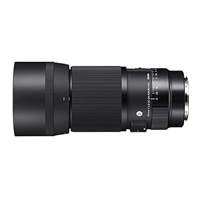 Sigma 105mm F2.8 DG DN Macro Art (L-mount)
