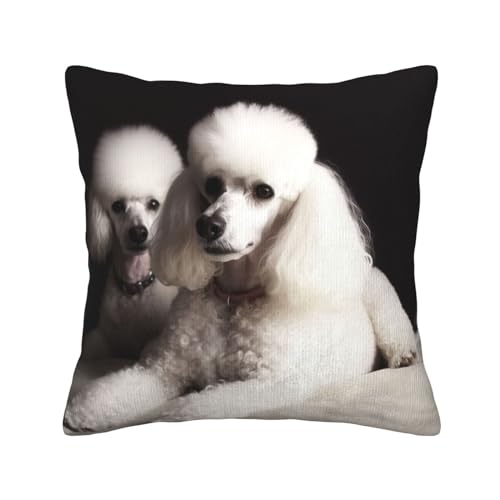 Housse de coussin caniche français pour sublimer votre canapé et votre lit - 3