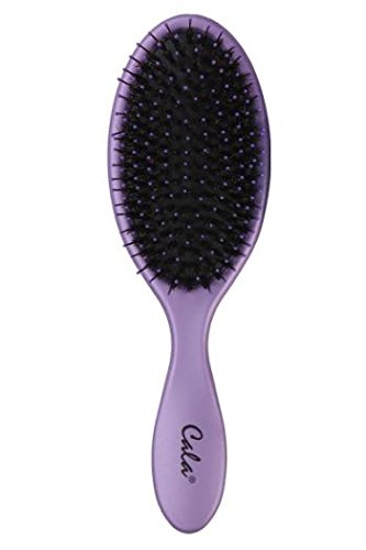 CALA Wet N Silky Detangling Hair Brush (Purple)