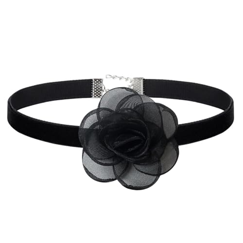 [Flongo] `[J[ lbNX  JA`[t fB[X: xxbg [X    Ԗ  tςȂ Vv Ăۂ ANZT[ p[eB[ ̎q q ޏ-v[g