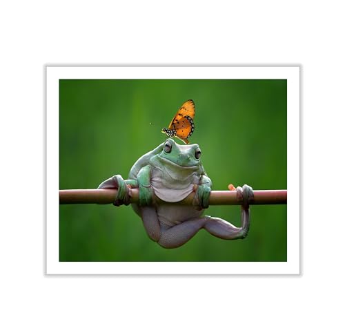 Monem Art Frog and Butterfly Macro Nature Print - Amphibian