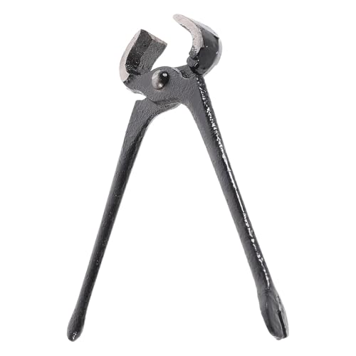 CTIRCHIU C q[ [o[ y` C q[ C y` [o[ C B  