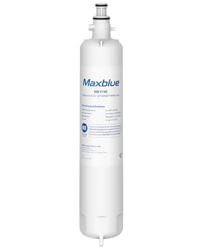 Maxblue MB-F19C Replacement for GE RPWFE RPWF (with CHIP) Refrigerator Water Filter Compatible with WSG-4 WF277 GFE28GMKES PFE28KBLTS GFD28GSLSS PWE23KSKSS GYE22HMKES DFE28JSKSS